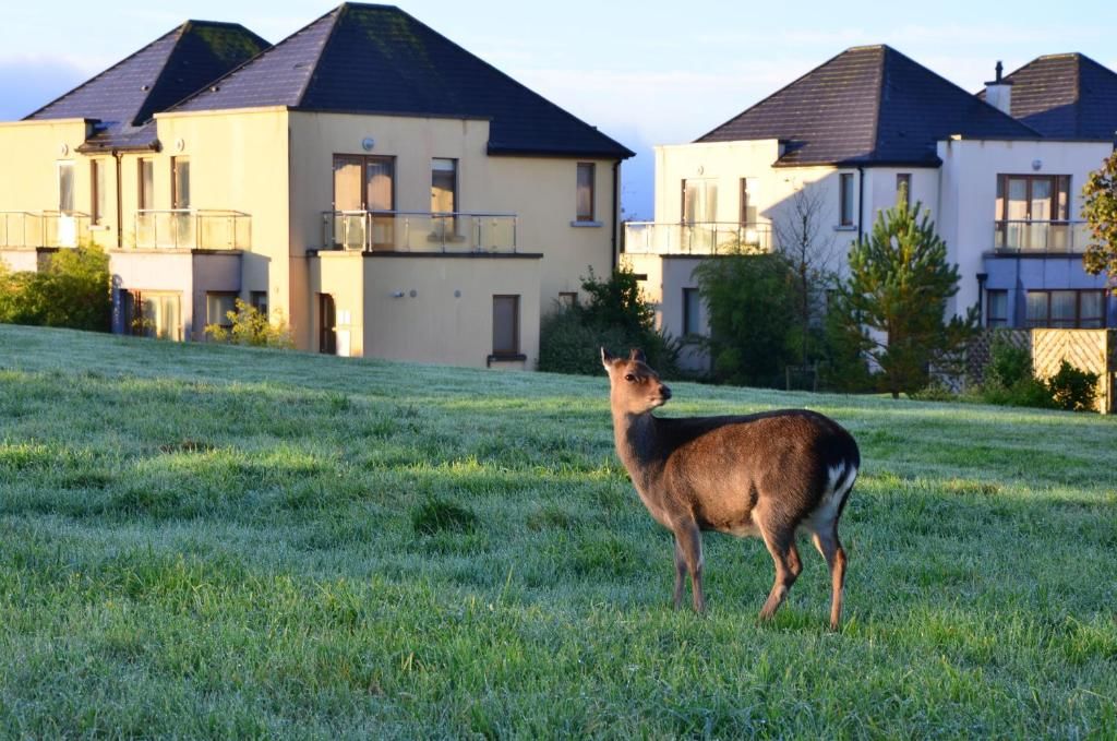 Дома для отпуска Waterford Castle Hotel Lodges Уотерфорд-37